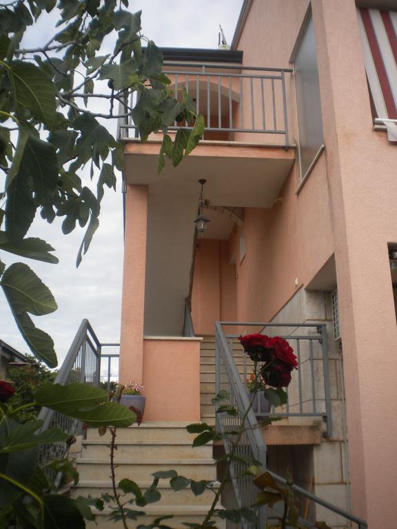 Apartments Miani Novigrad  Bagian luar foto