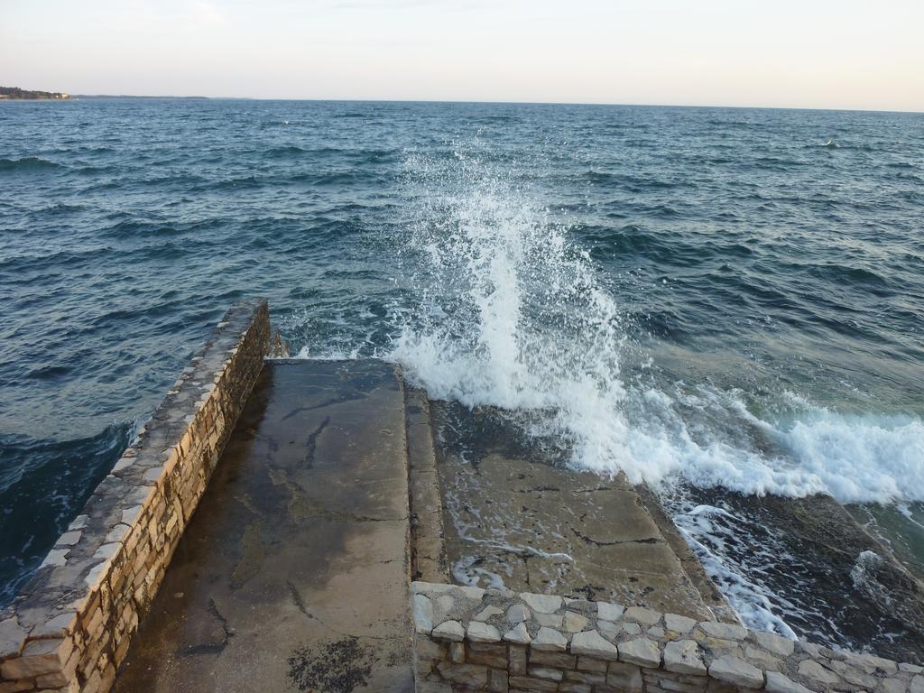 Apartments Miani Novigrad  Bagian luar foto
